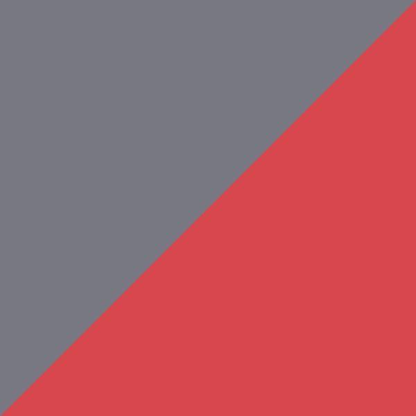 Tissco fournisseur couette bicolore qualité professionnelle pour hôtel coloris gris rouge