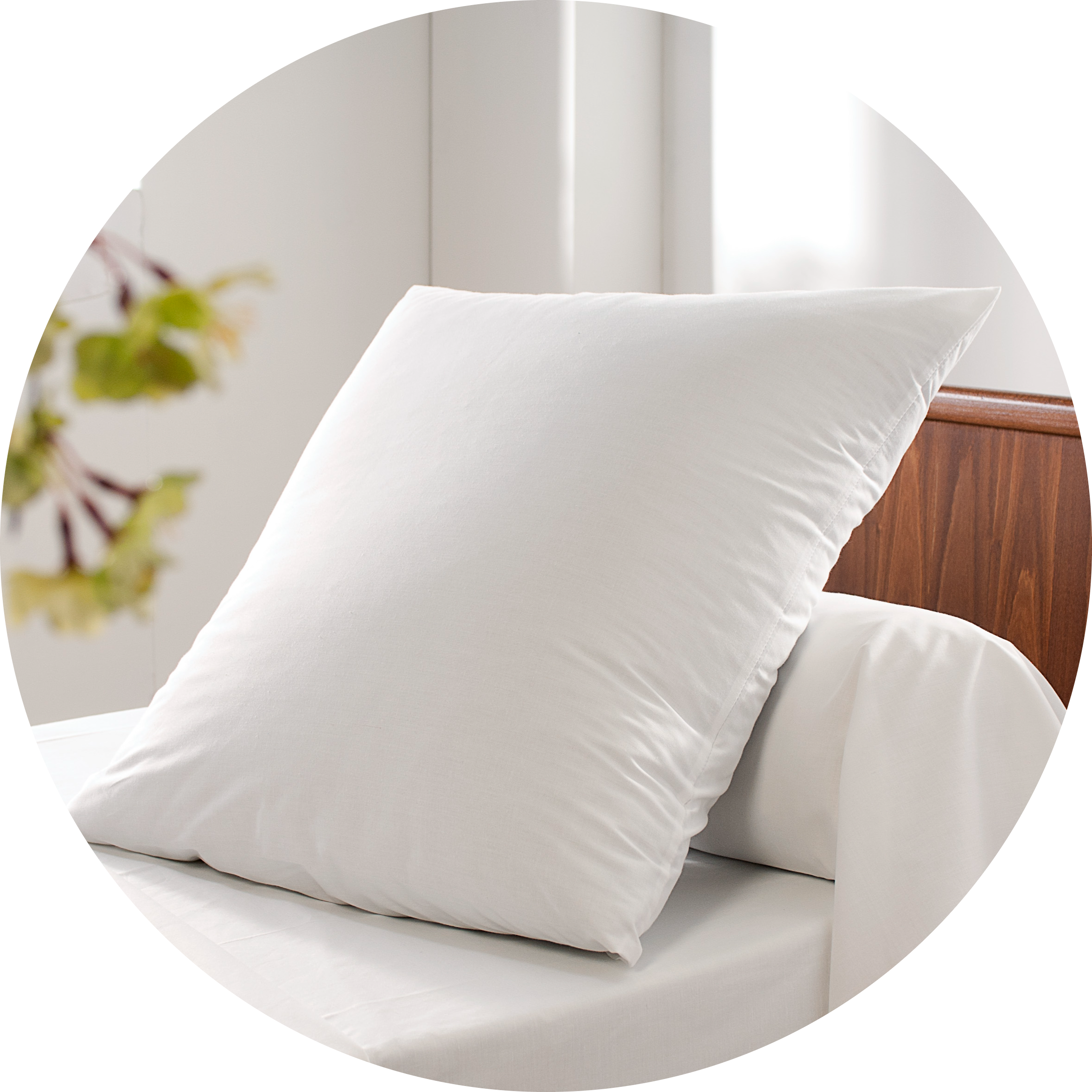 Tissco – Oreiller carré Tissco - Fournisseur de linge pour professionnels